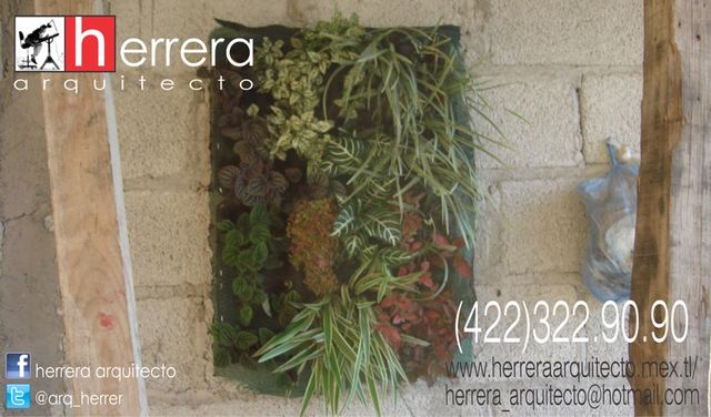 Primer prueba de jardín vertical (muro verde)